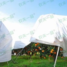 河北綠化防寒布制品廠(chǎng) 守護(hù)園林綠化的溫暖屏障