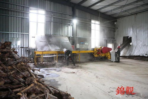 興辦“落葉工廠(chǎng)” 公園城市的秘密武器，了解一下園林綠化的新玩法！