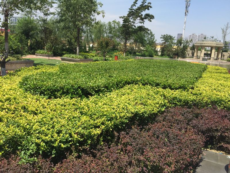 北京盛澤園林綠化工程